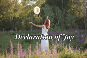 Declaration of Joy