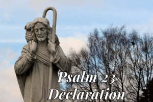 Psalm 23 Declaration